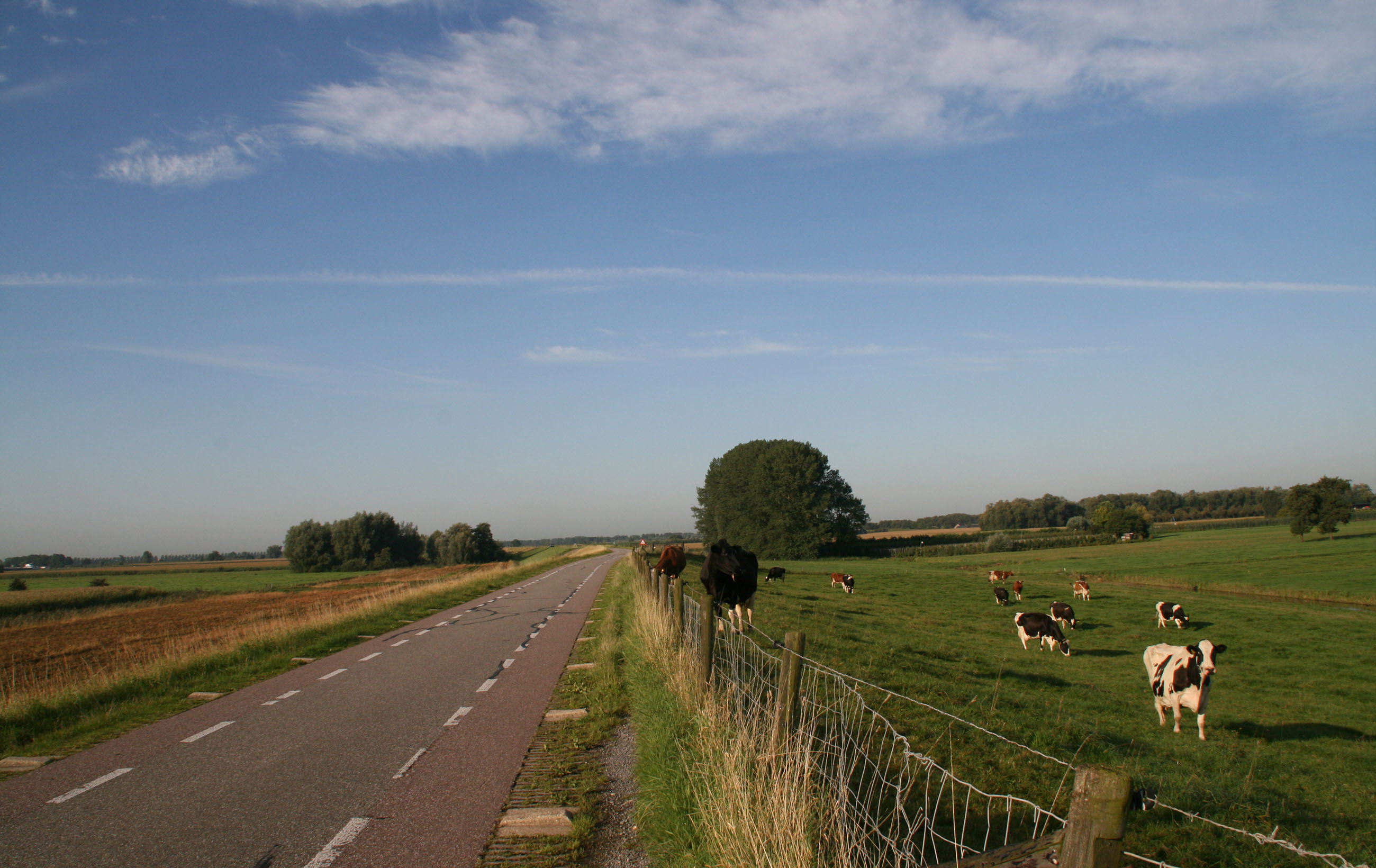 Anders werken: hoe doe je dat?